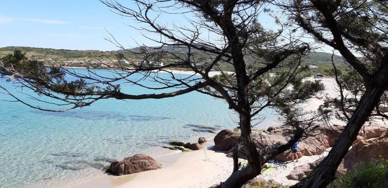 Un Angolo Di Paradiso A Pochi Passi Dal Mare Nel Villaggio Calarossa Isola Rossa Eksteriør billede
